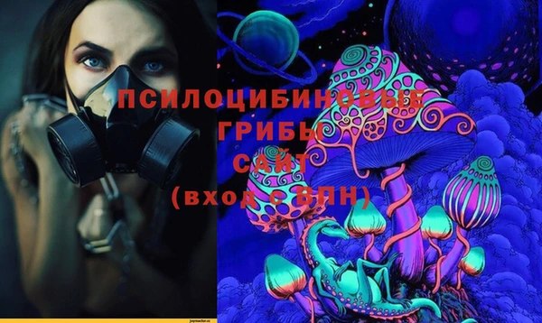 PSILOCYBIN Уссурийск