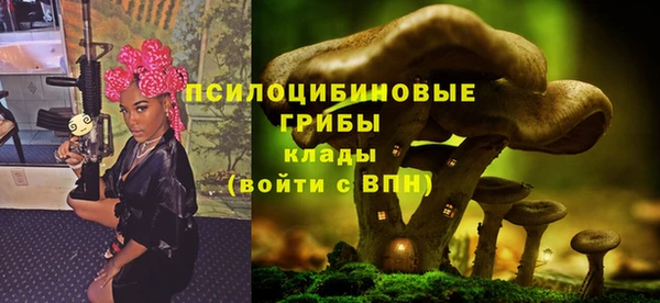 ешки Протвино