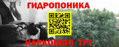 индика Северобайкальск