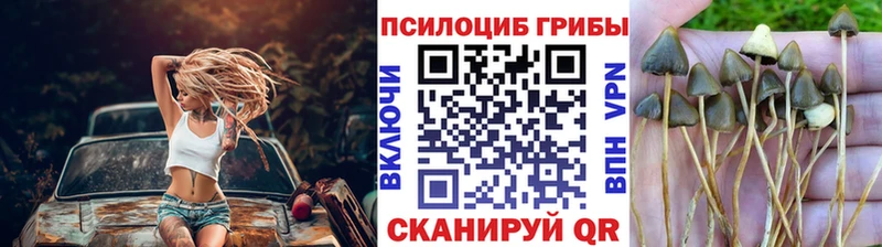 Псилоцибиновые грибы прущие грибы  гидра ТОР  Чапаевск 