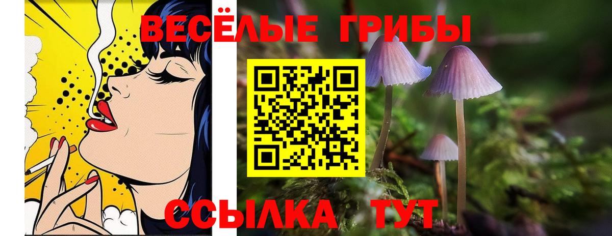 Галлюциногенные грибы Cubensis Чапаевск