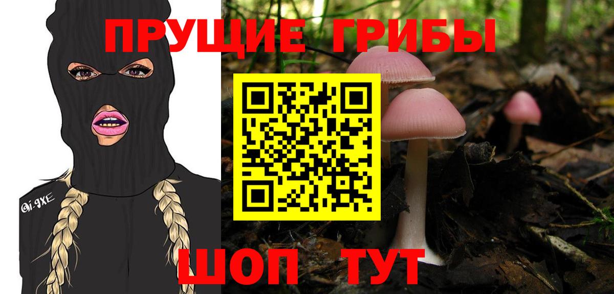 Галлюциногенные грибы прущие грибы  сколько стоит  Чапаевск  Вход с VPN 